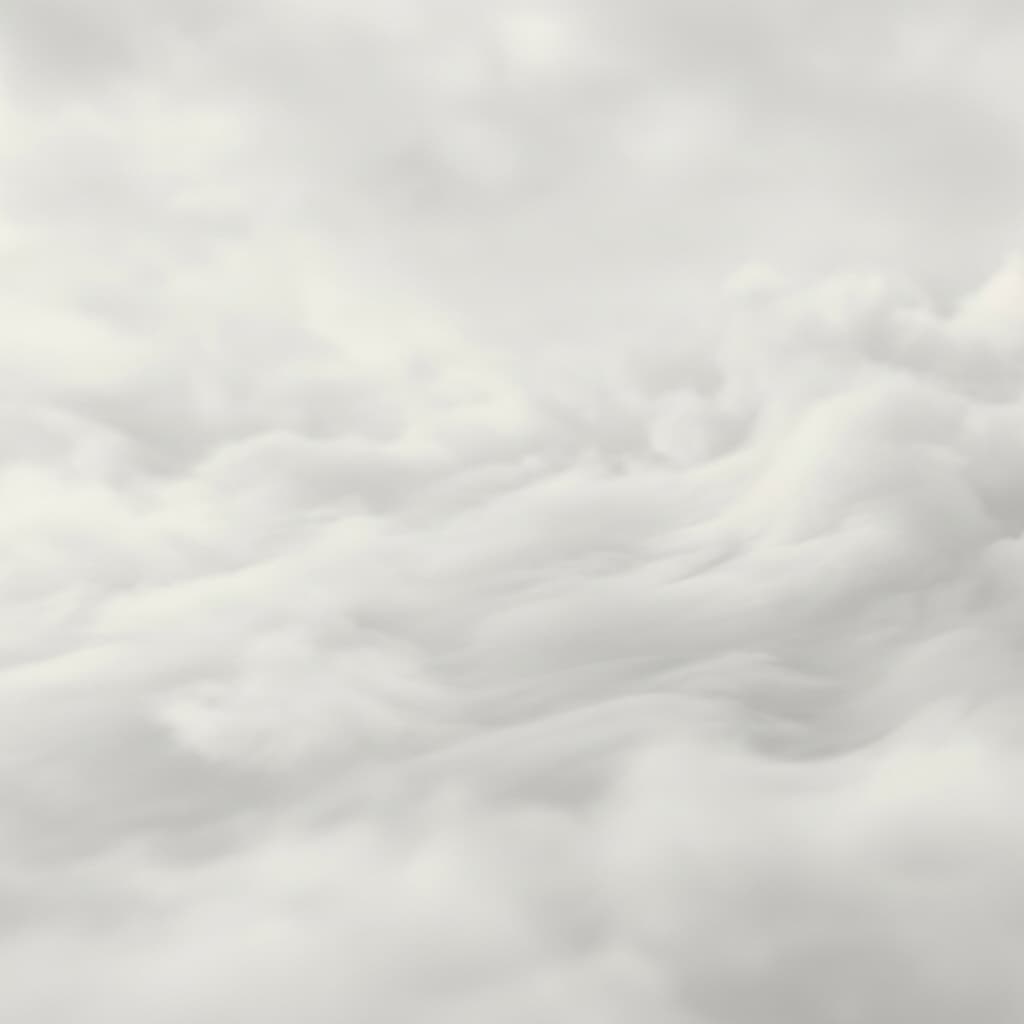 Grayscale cloudscape back
